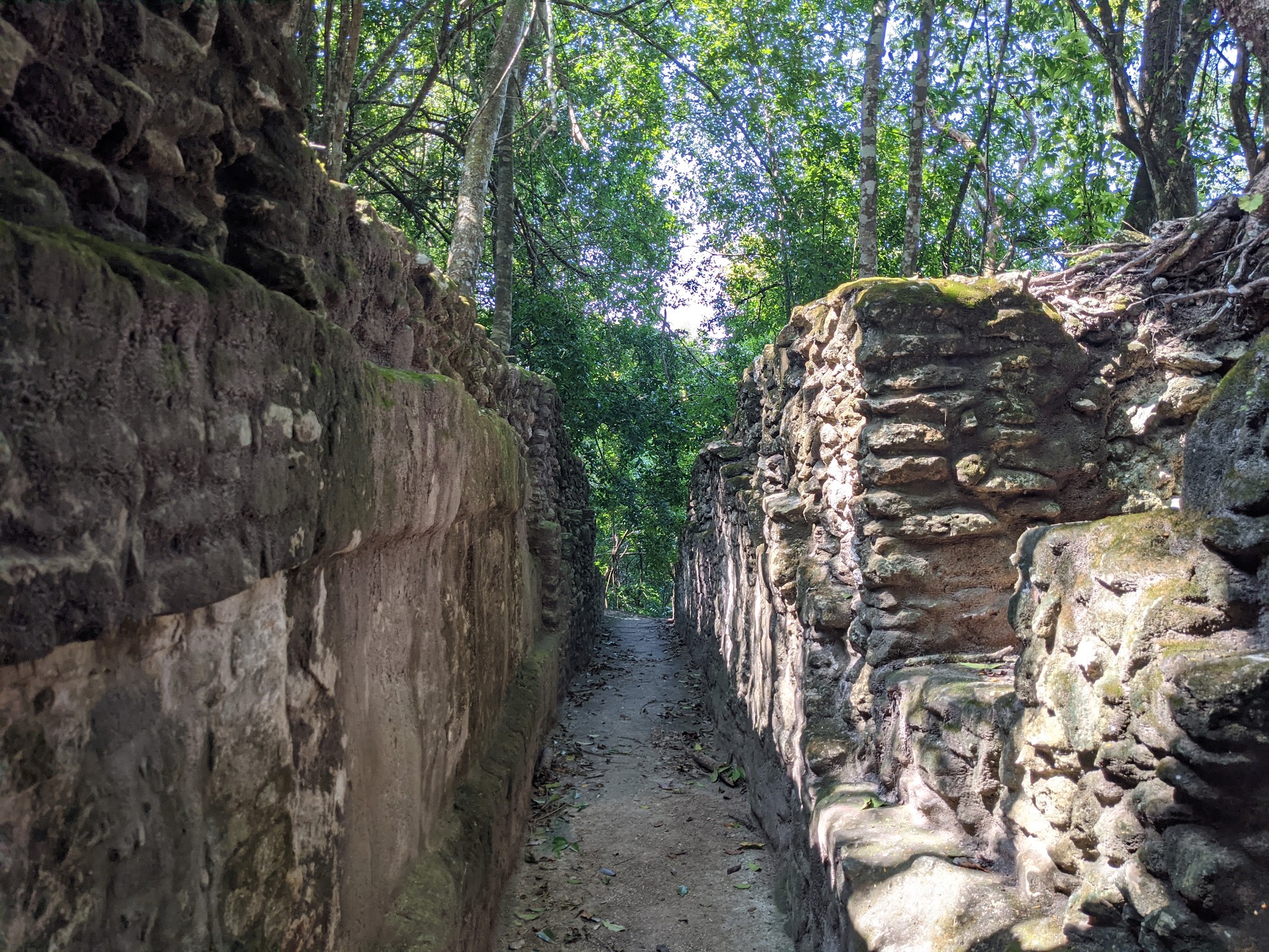 Cahal Pech Archaeological Reserve photo 5
