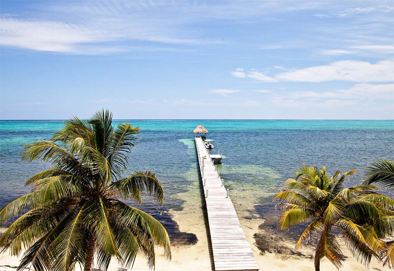 Pelican Reef Villas Resort photo 5