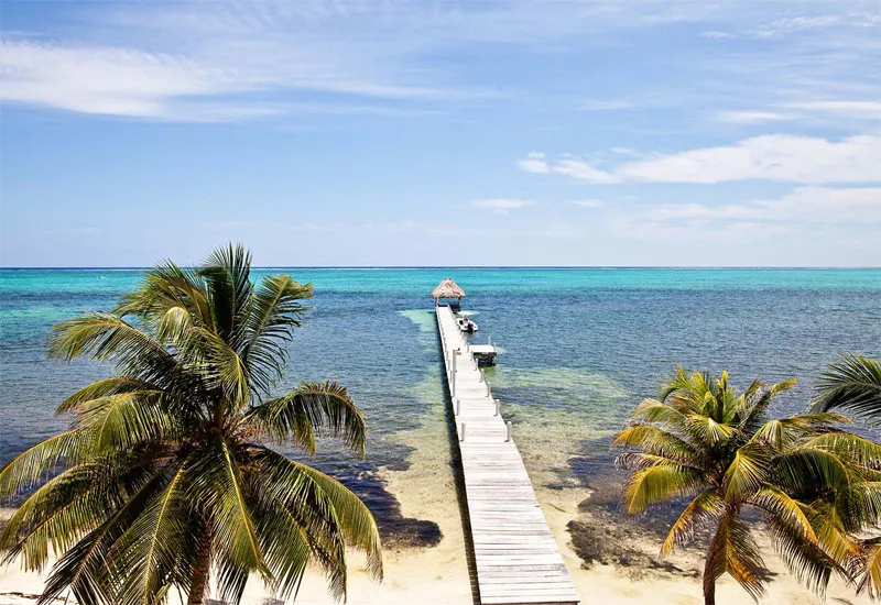 Pelican Reef Villas Resort photo 5