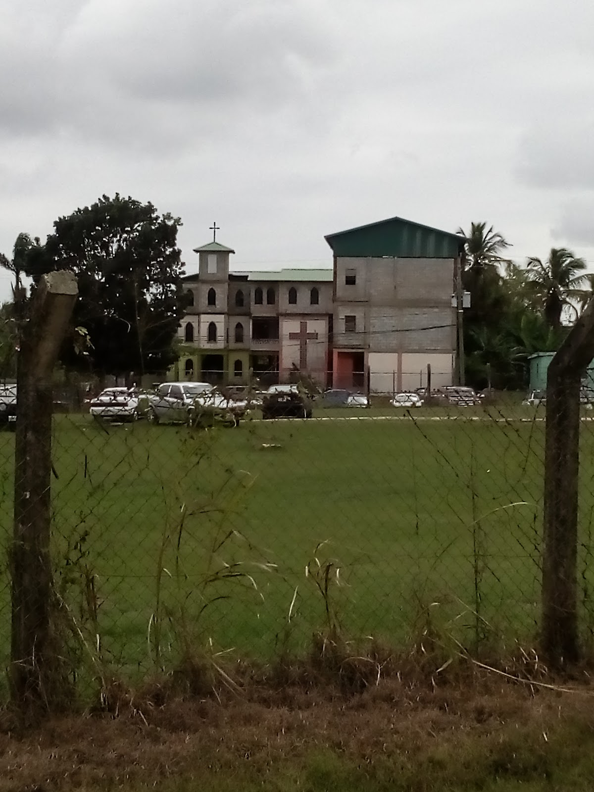 New Life Presbyterian Primary School photo 2