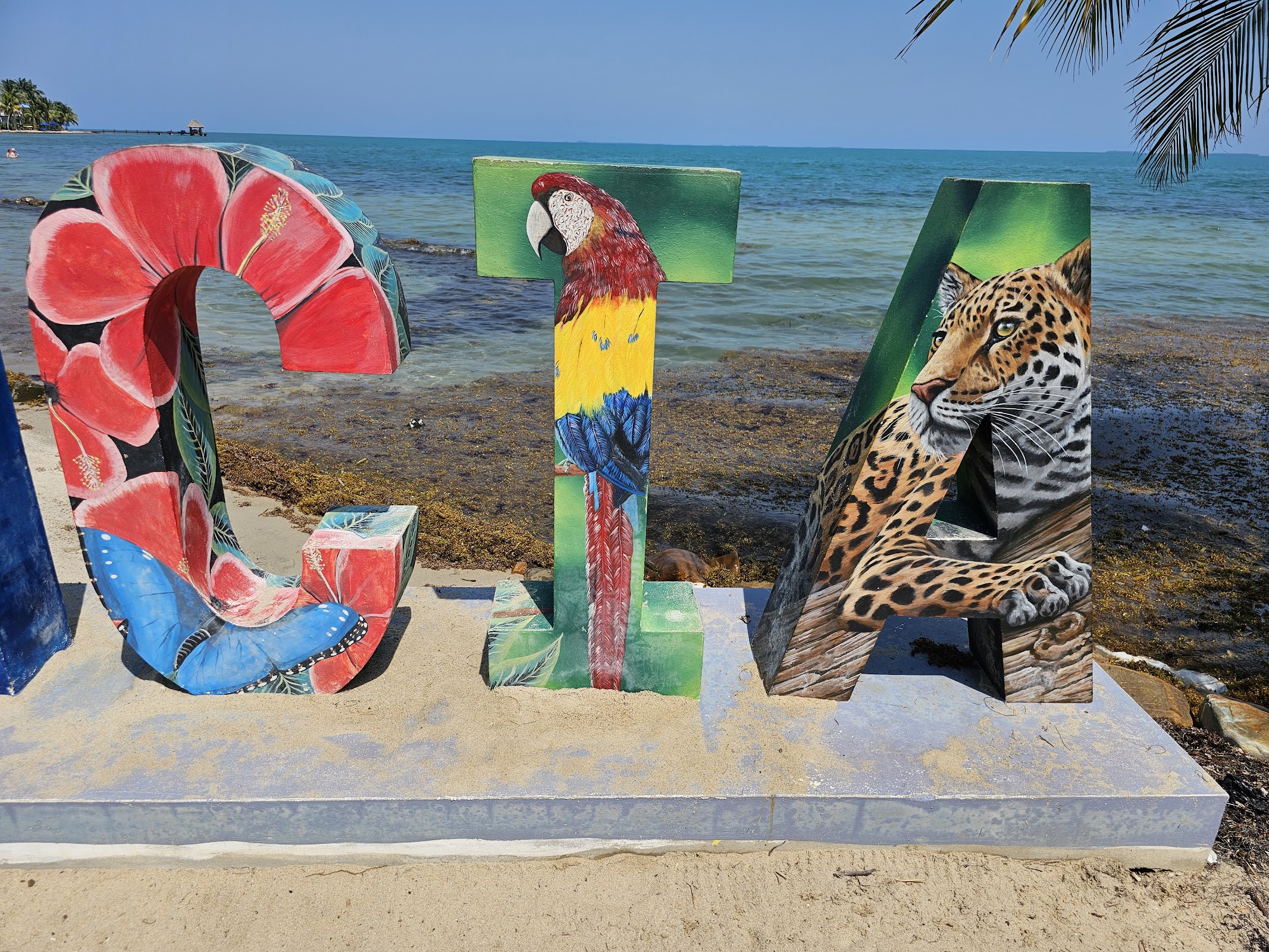 Placencia Sign photo 7