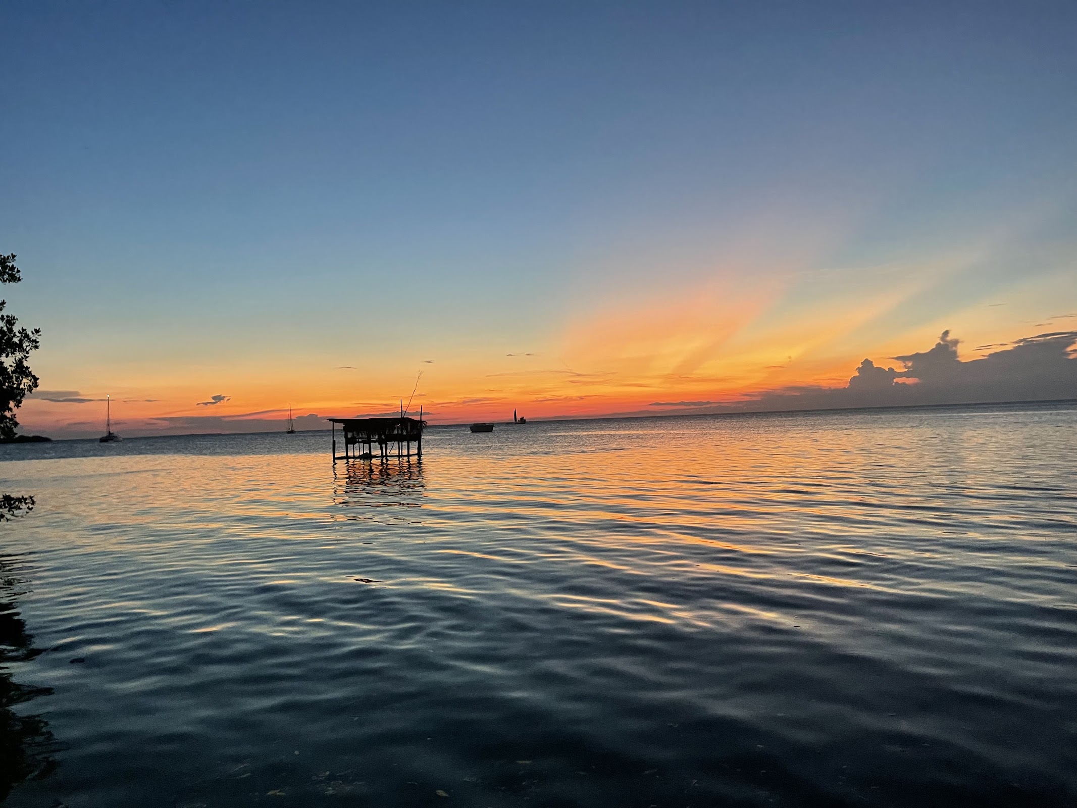 Tarpon feeding dock photo 4