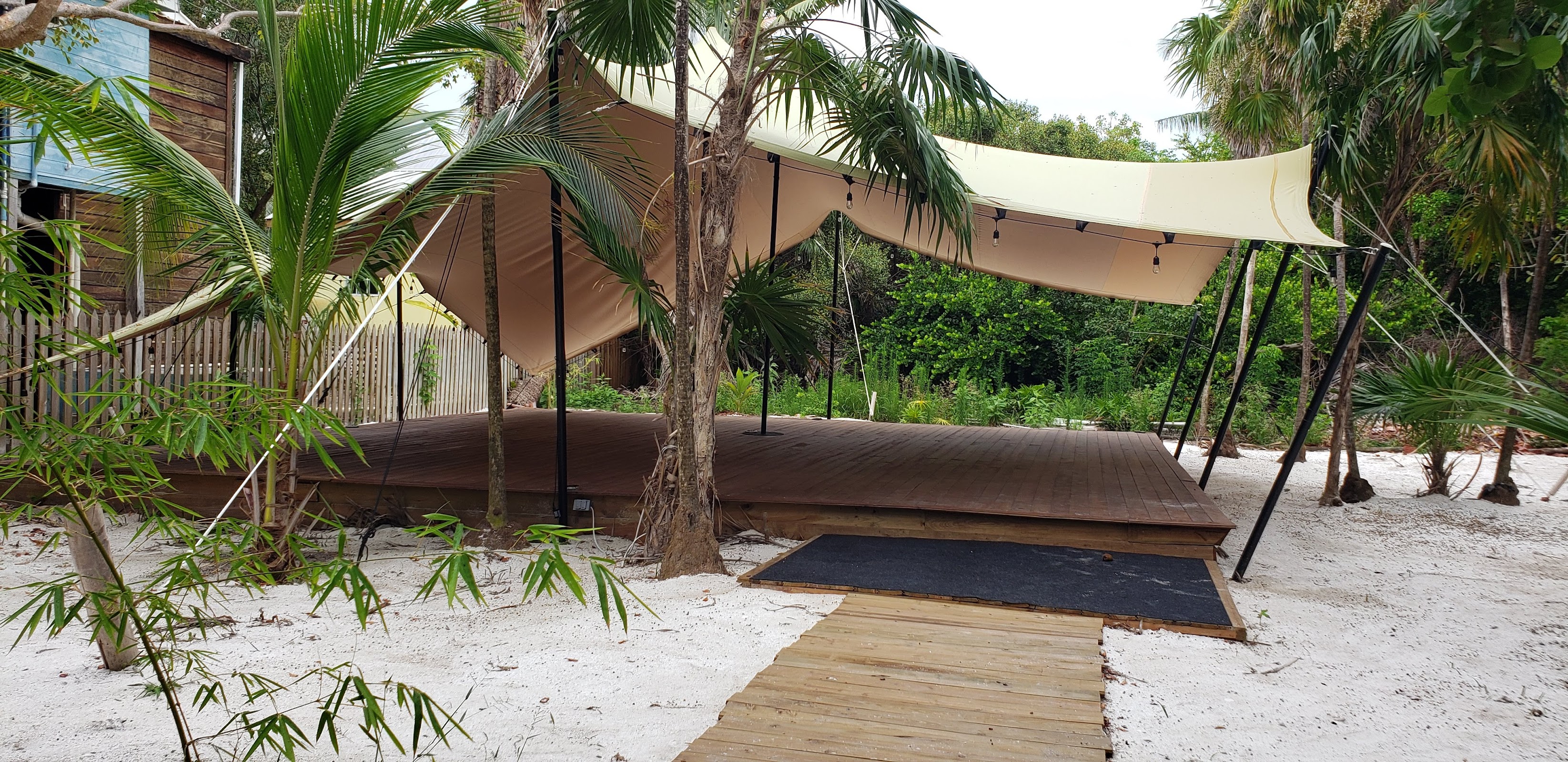 Ceiba Yoga photo 4