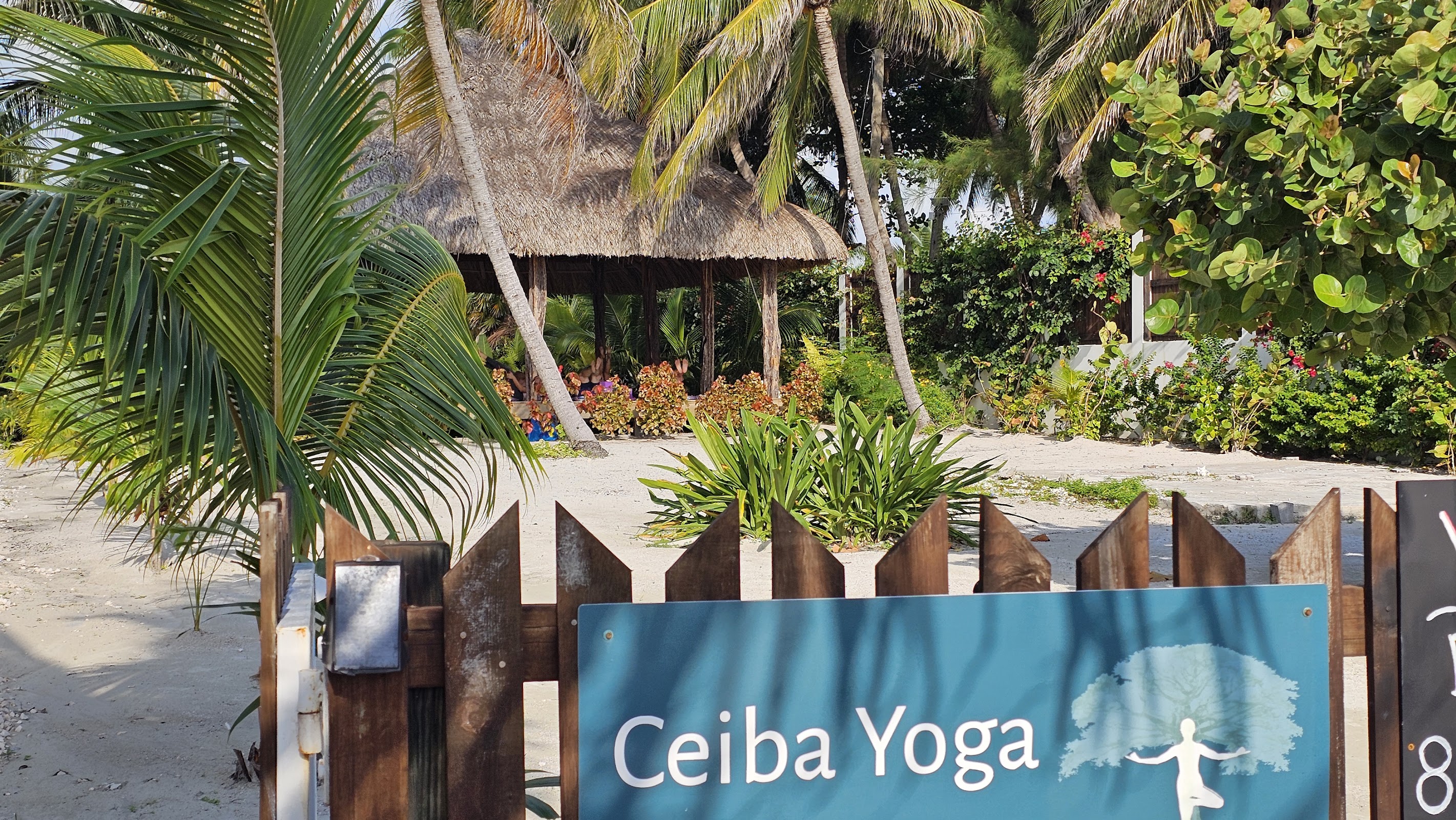 Ceiba Yoga photo 3