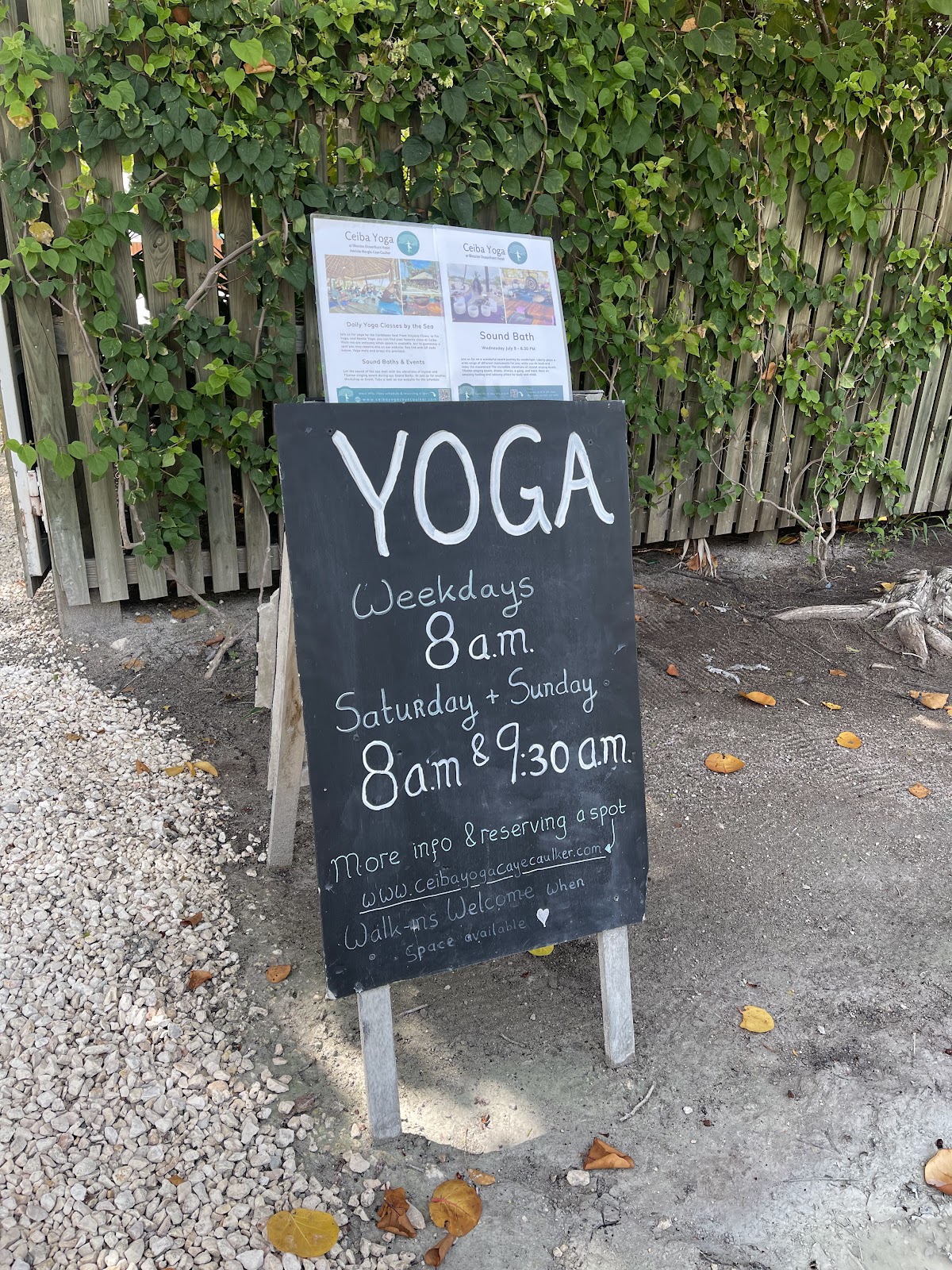 Ceiba Yoga photo 5