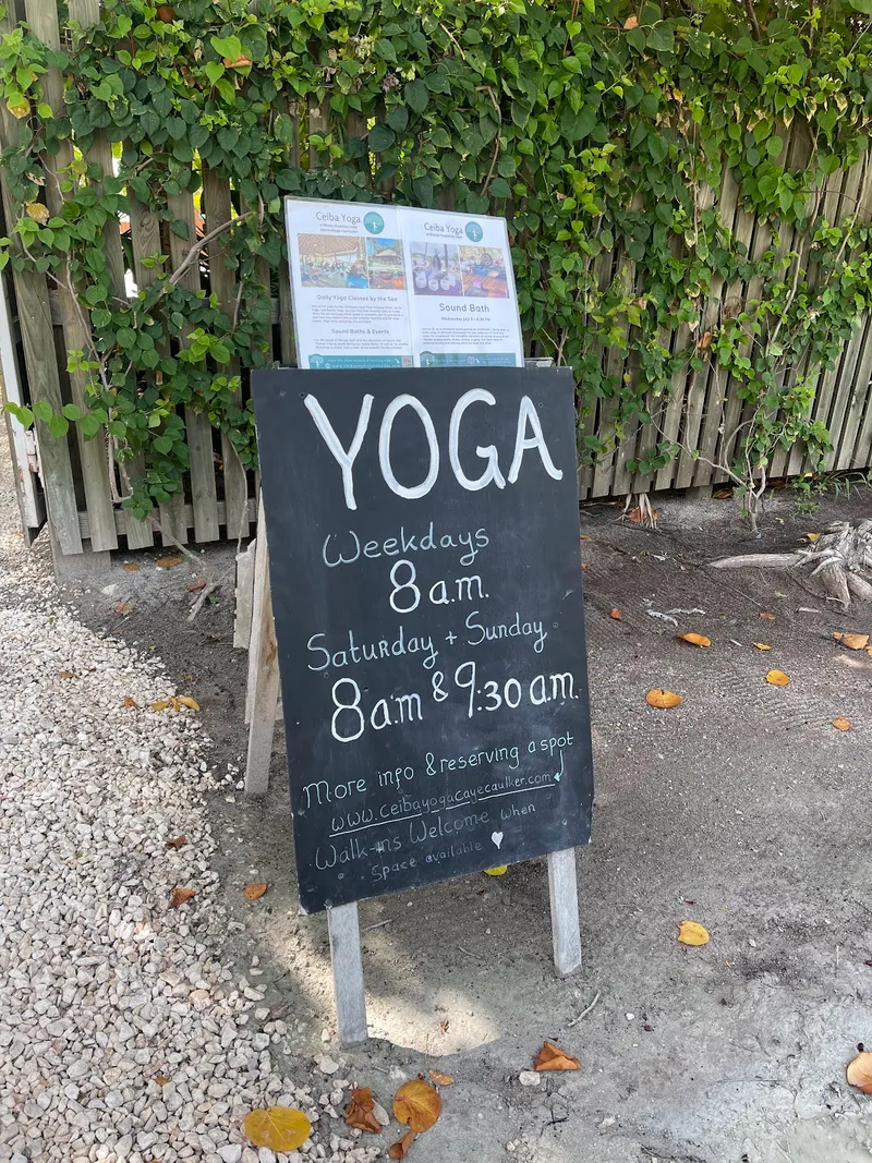 Ceiba Yoga photo 5