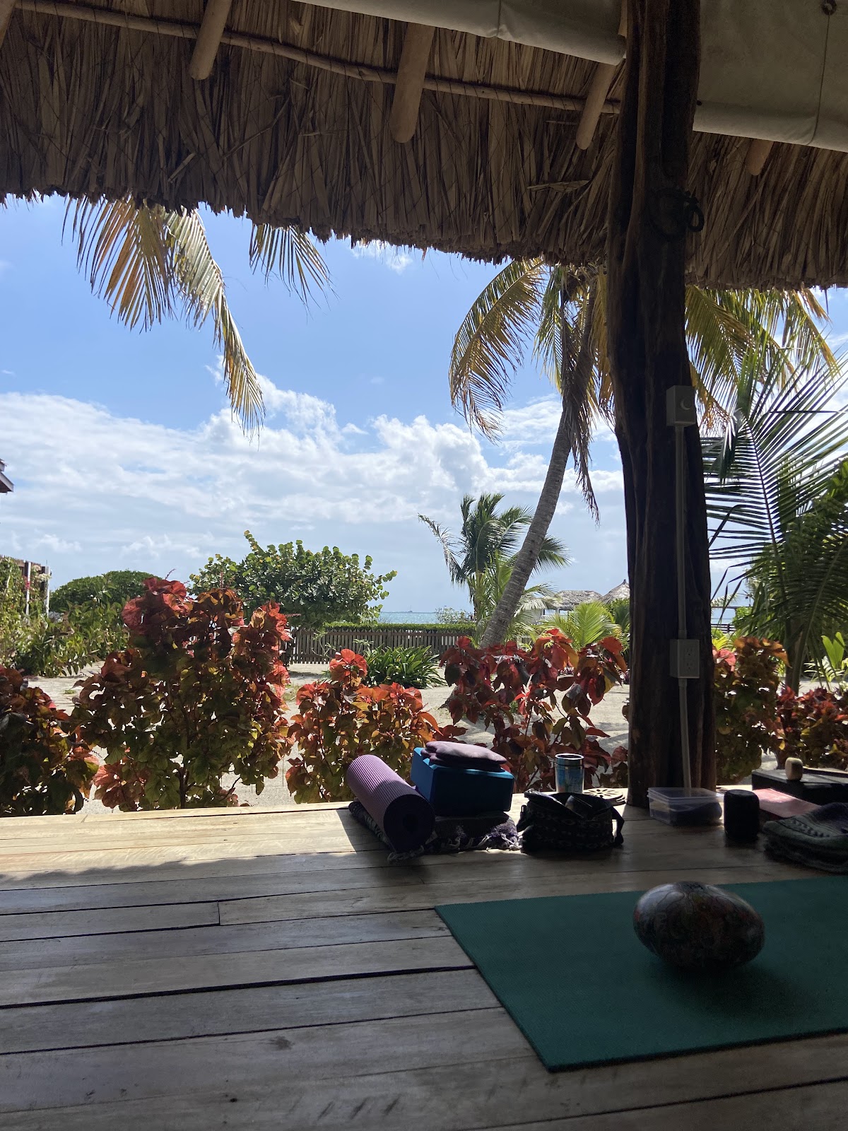 Ceiba Yoga photo 6