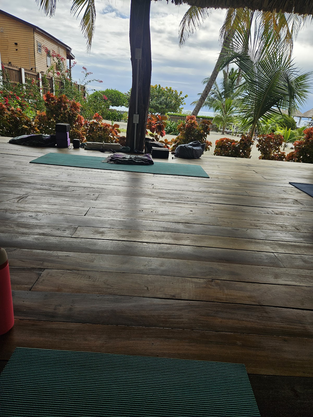 Ceiba Yoga photo 7