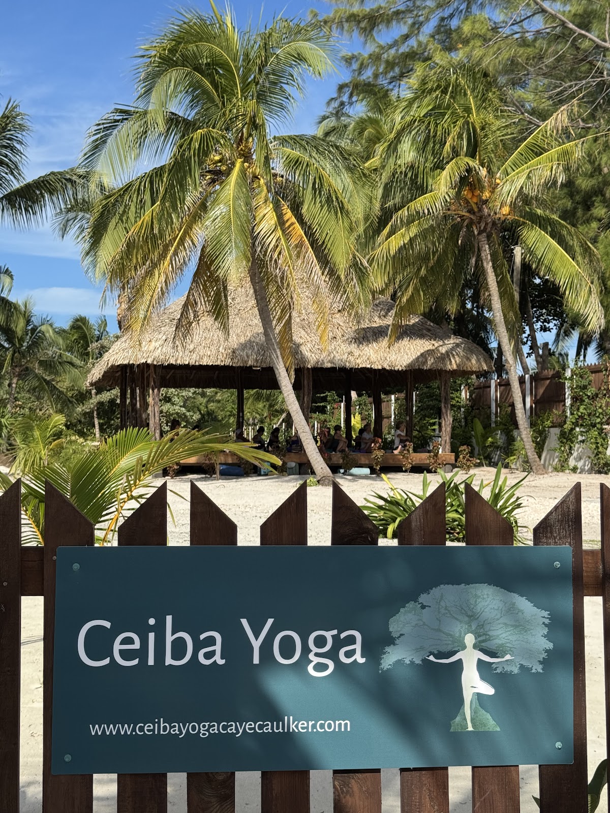 Ceiba Yoga photo 8