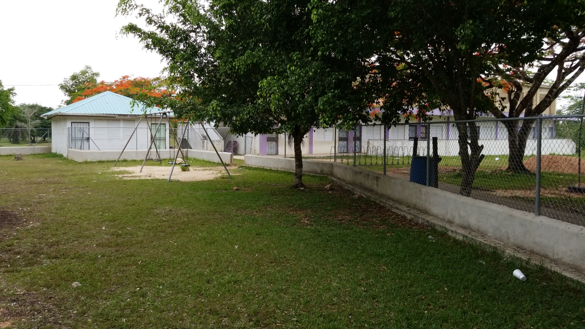 St Ann's Anglican Primary School photo 4