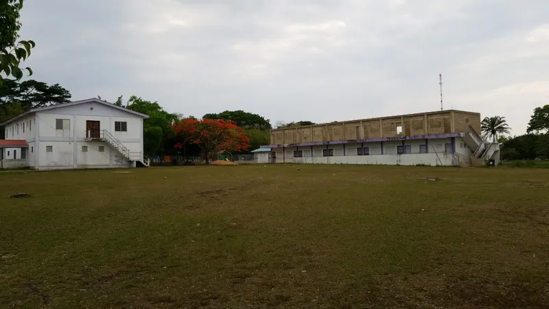 St Ann's Anglican Primary School