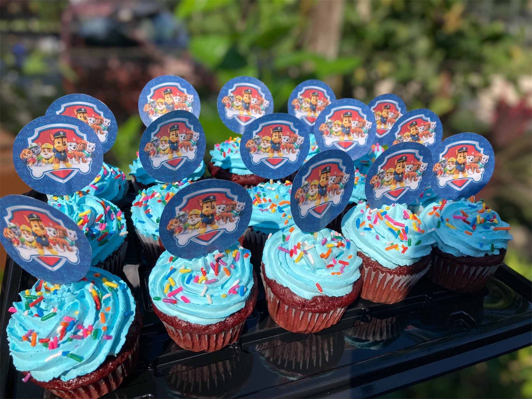 The cake zone photo 3