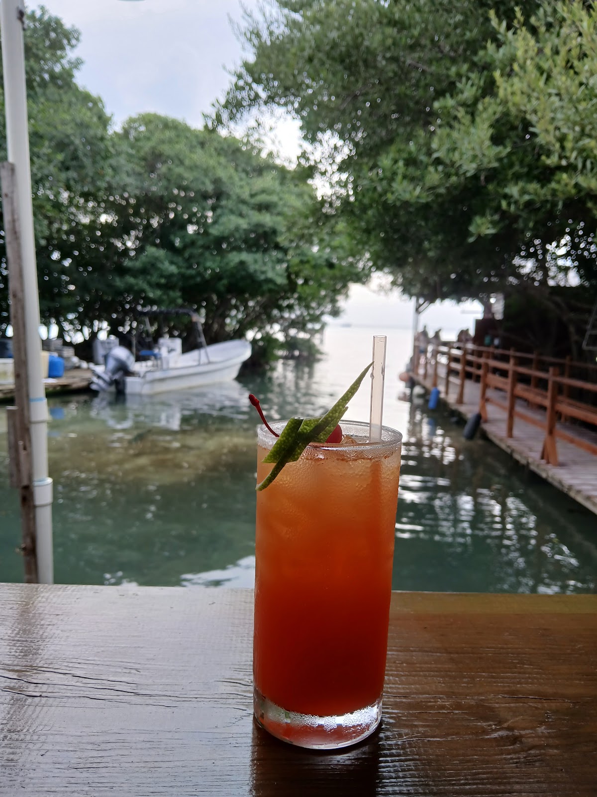 Tarpon Springs Bar