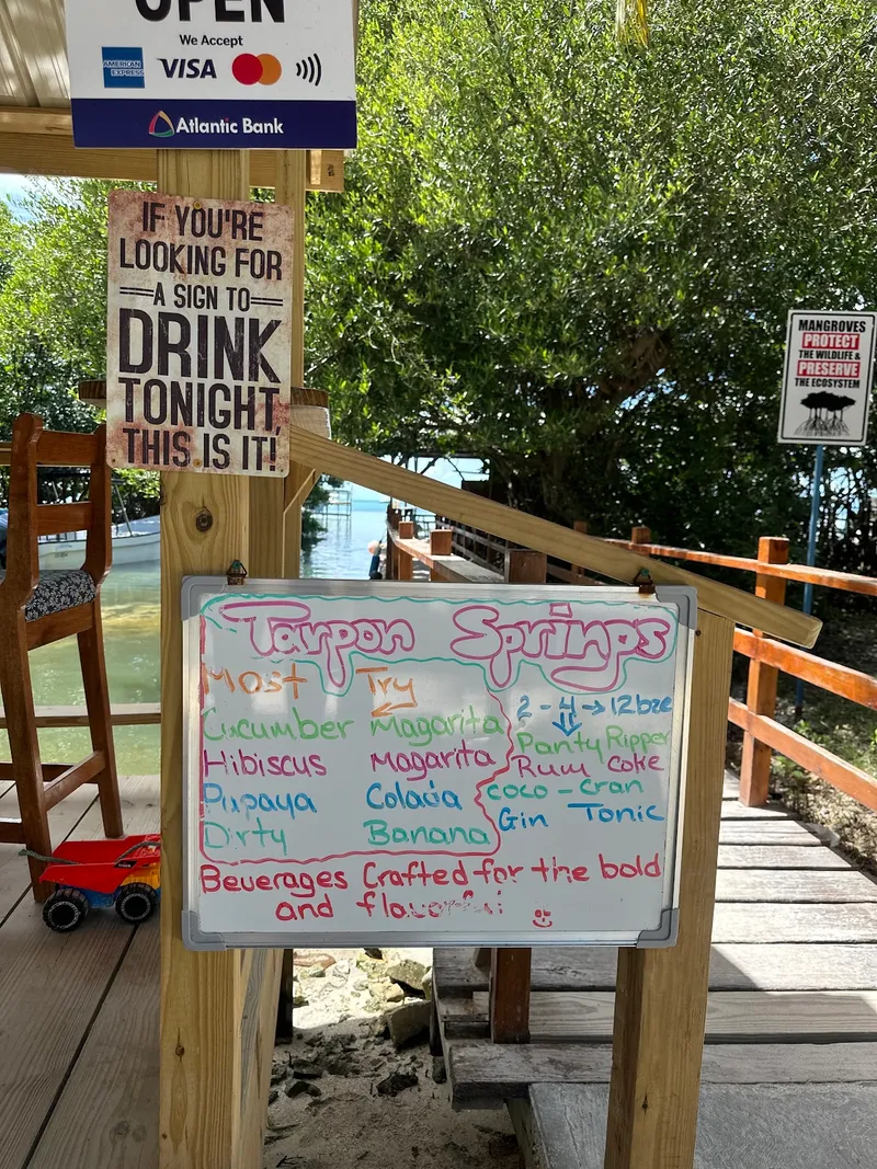 Tarpon Springs Bar photo 4