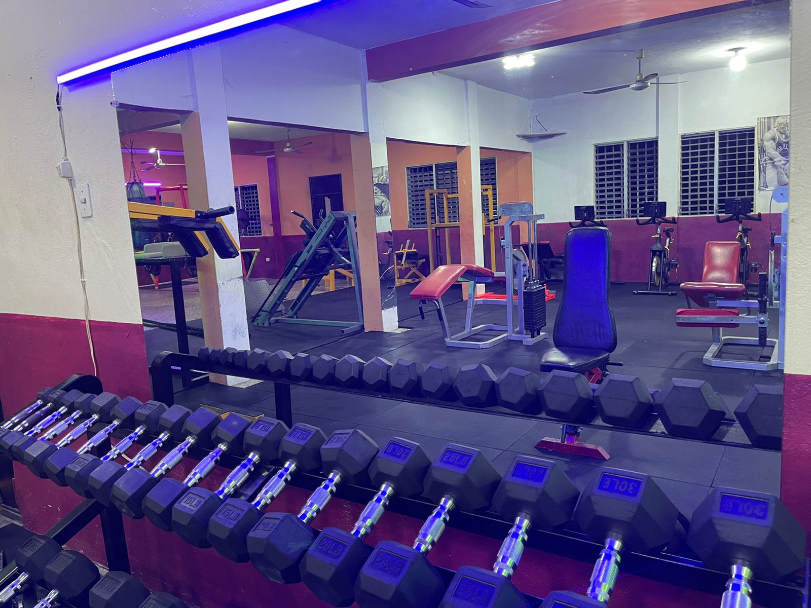 Hércules Gym photo 2
