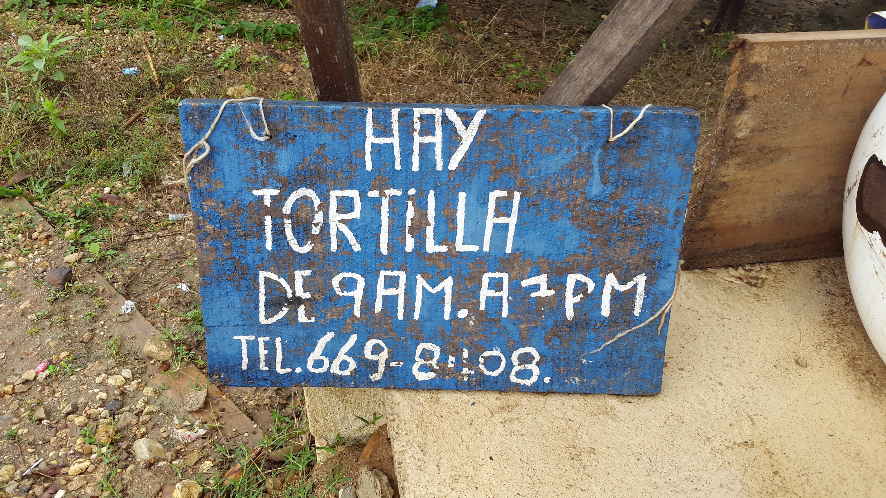 Mary & Valdo Alvarado Tortilla Shop photo 3