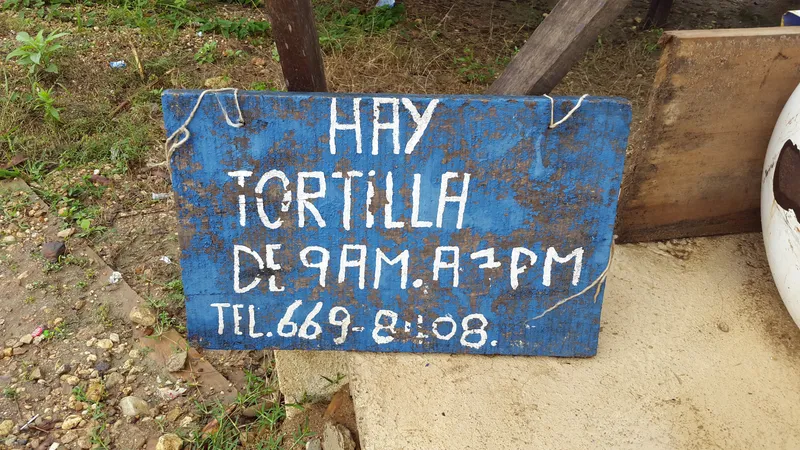 Mary & Valdo Alvarado Tortilla Shop photo 3