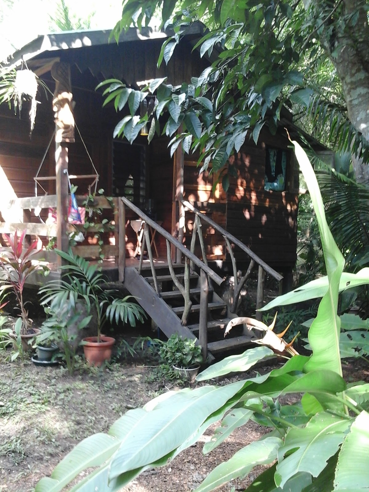 Rawspa Belize photo 5