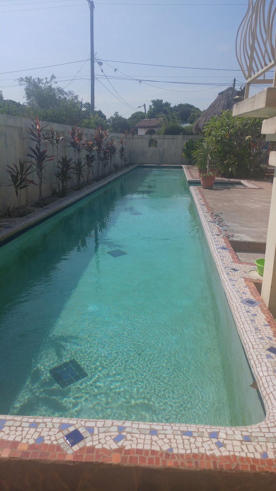 Rawspa Belize photo 2