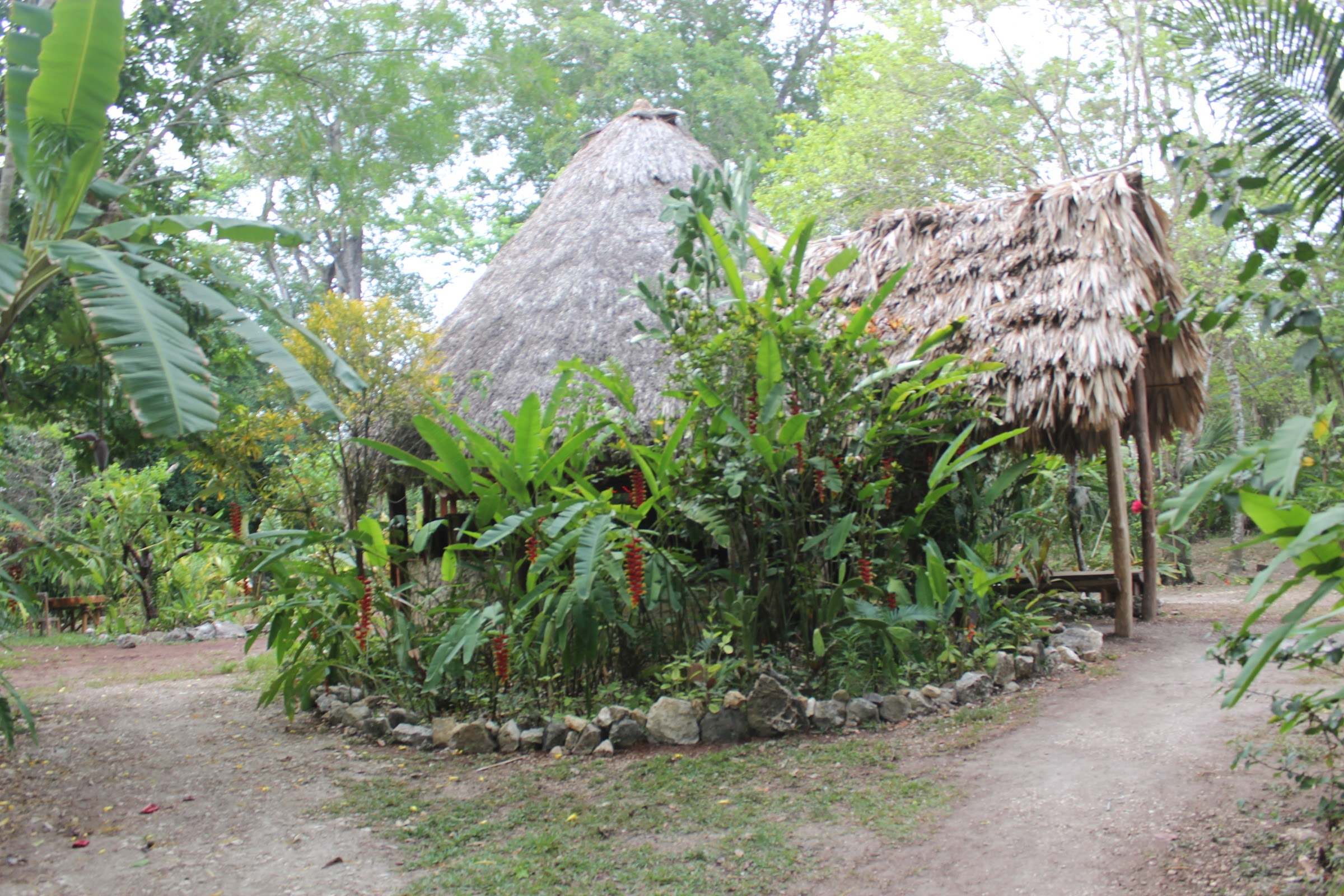 Rawspa Belize photo 7