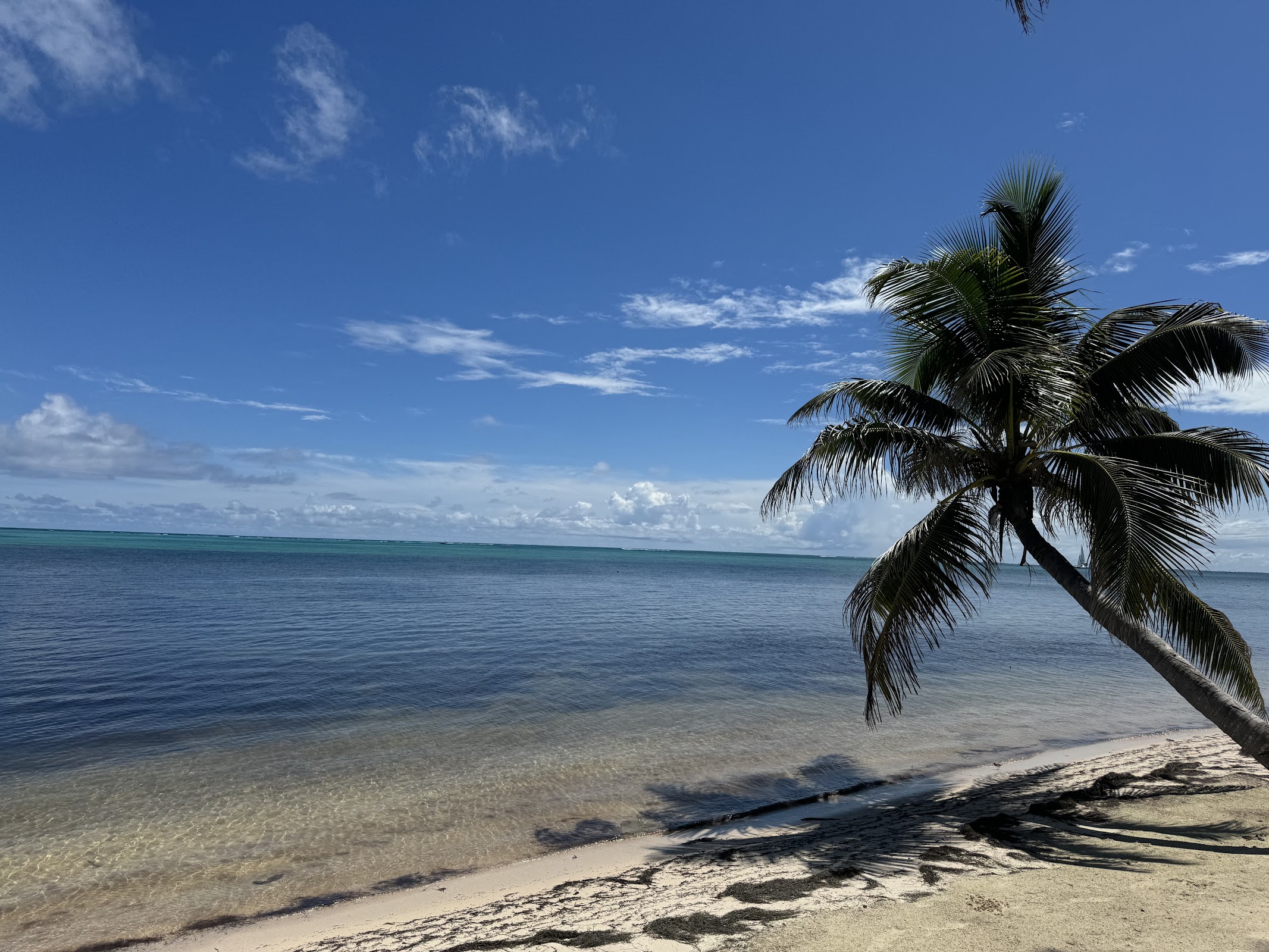 Blue Breeze photo 3