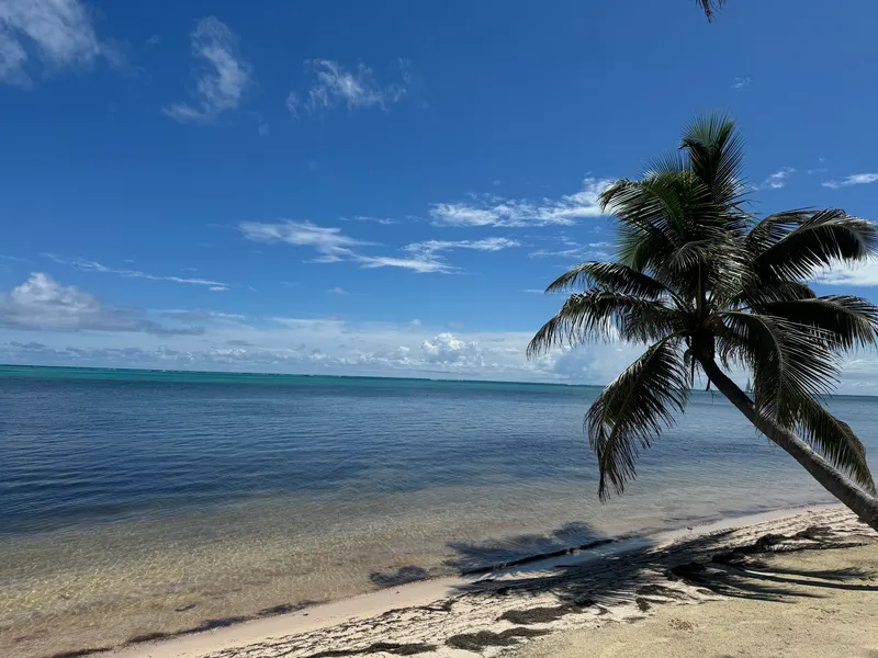 Blue Breeze photo 3