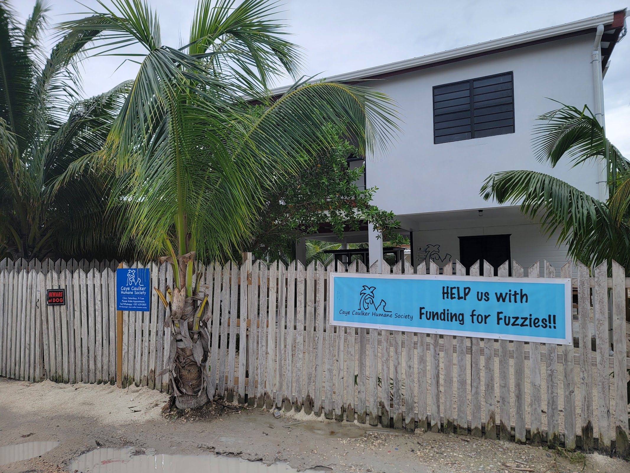 Caye Caulker Humane Society photo 5