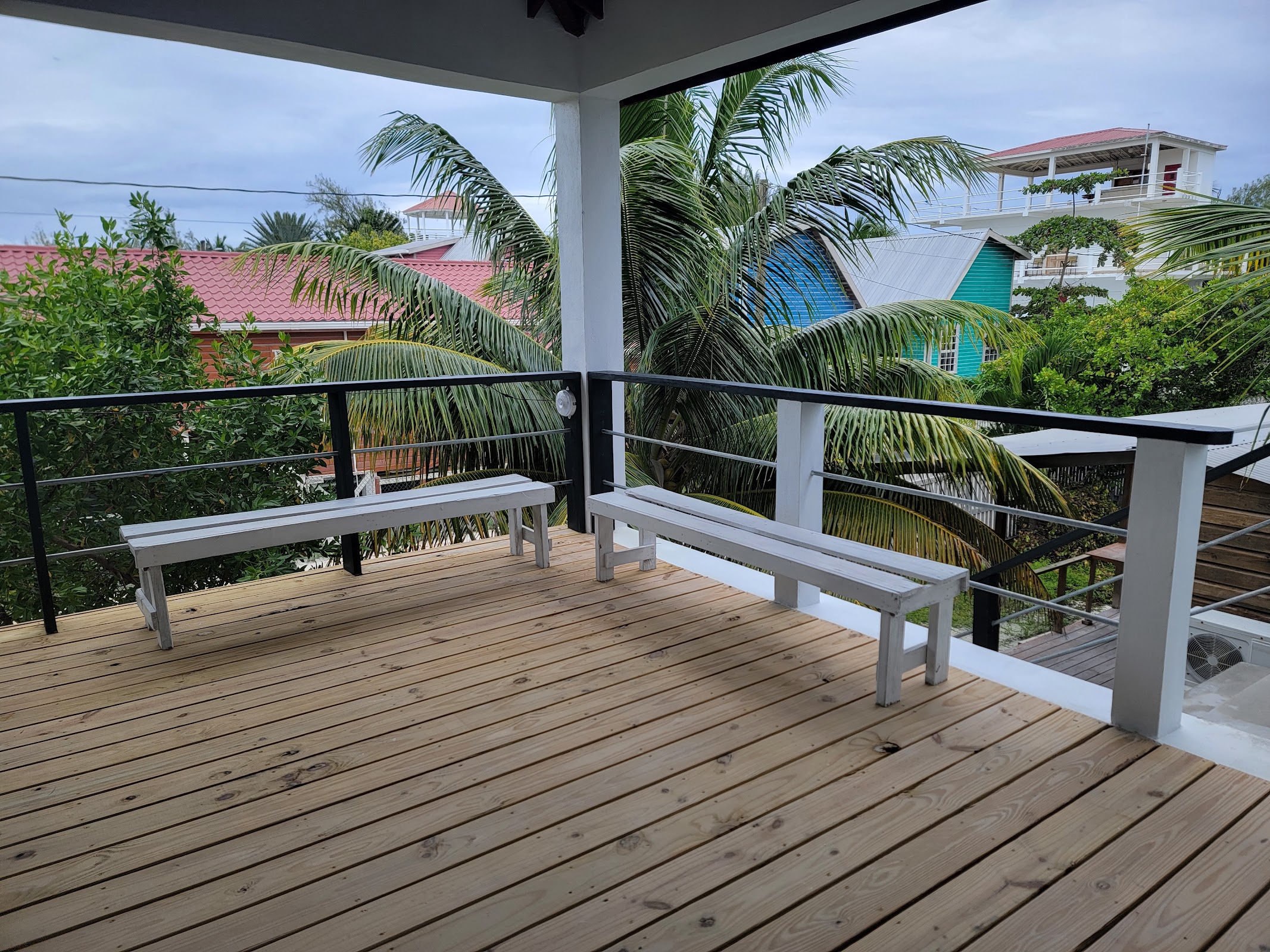 Caye Caulker Humane Society photo 3