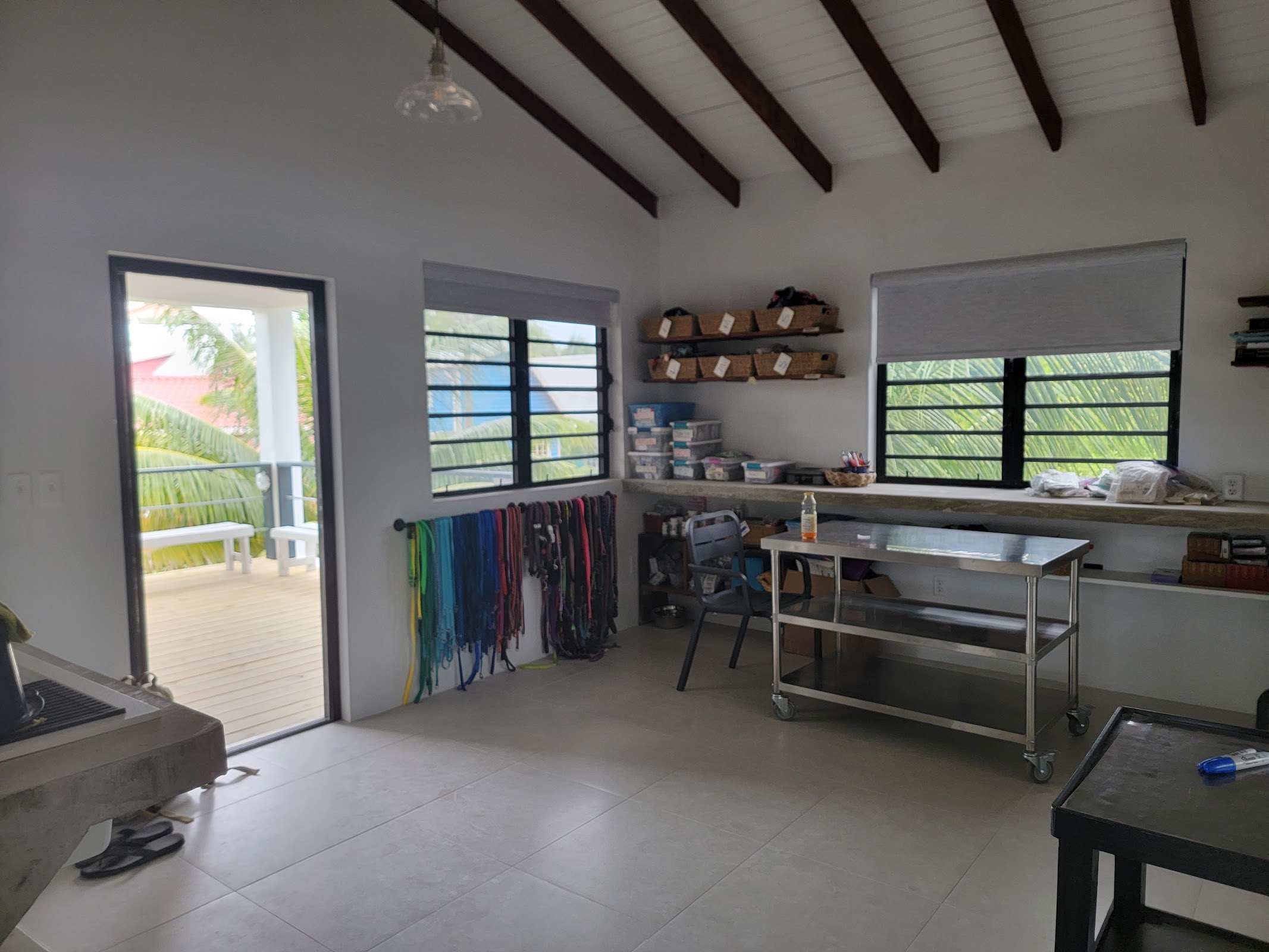 Caye Caulker Humane Society photo 2