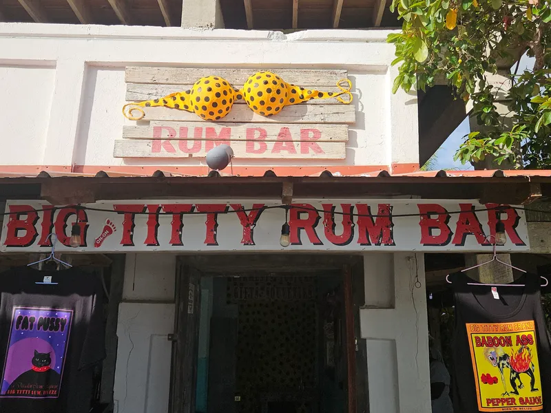 Big Titty Rum Bar photo 4