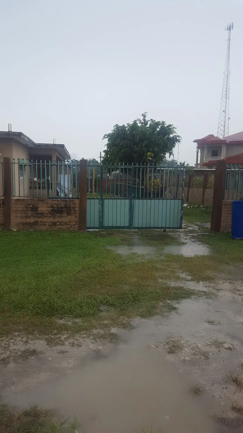 Lu Backy yard Gym