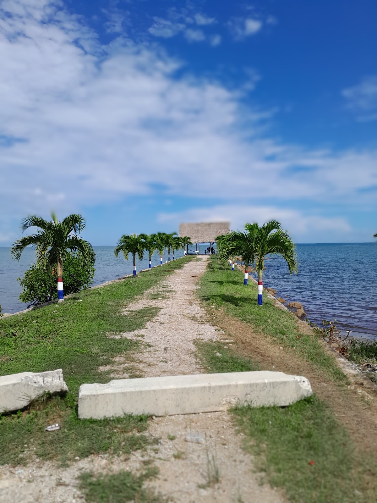 Swimming in Punta Gorda photo 2