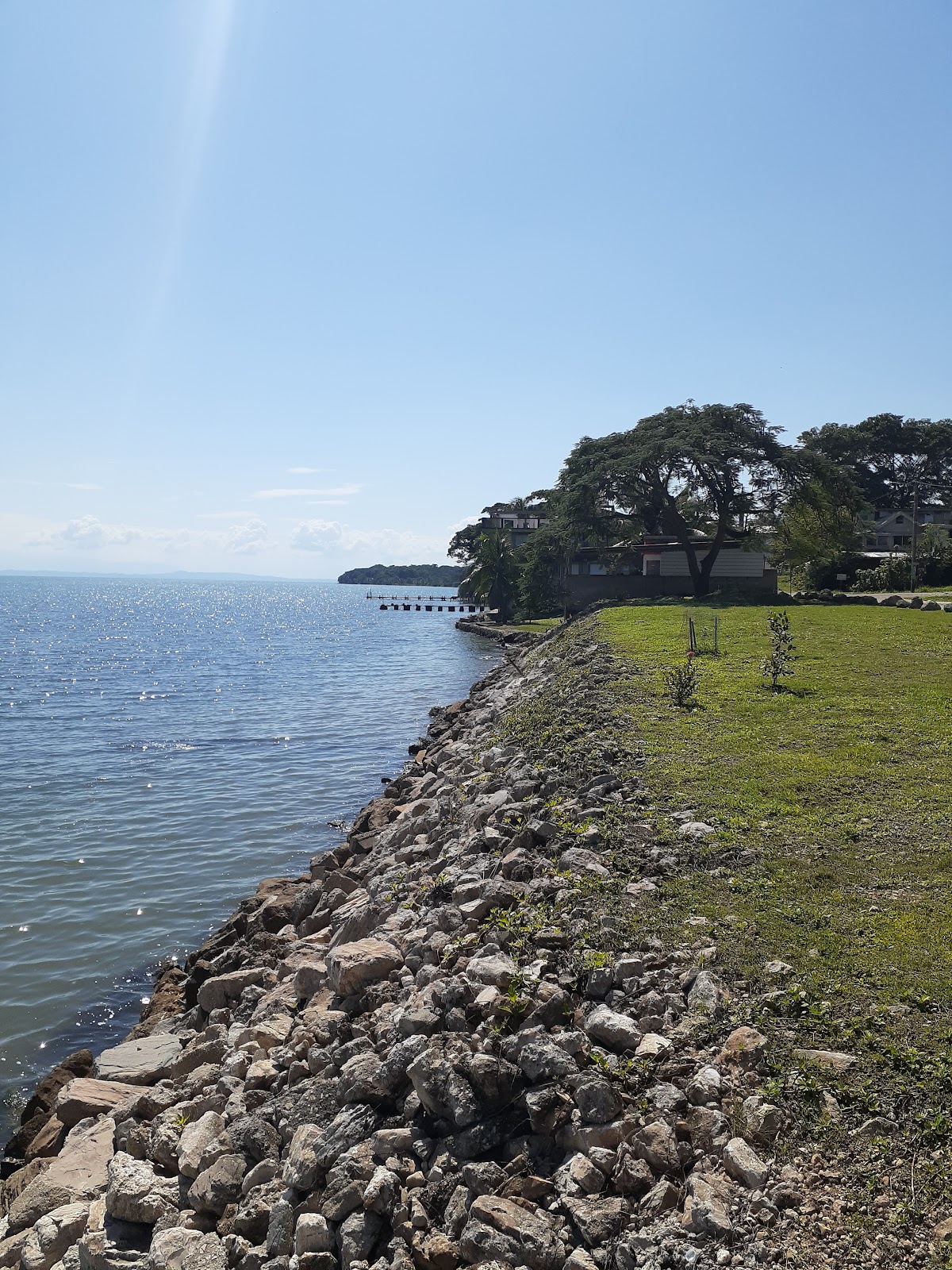 Swimming in Punta Gorda photo 6