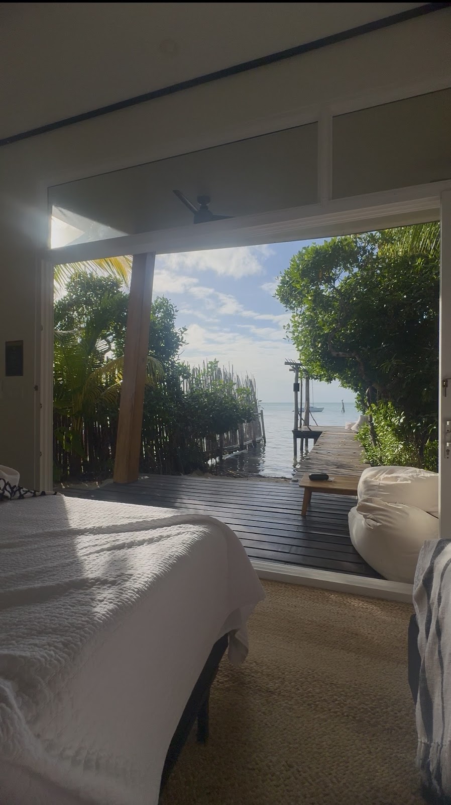 The Bohemian photo 8