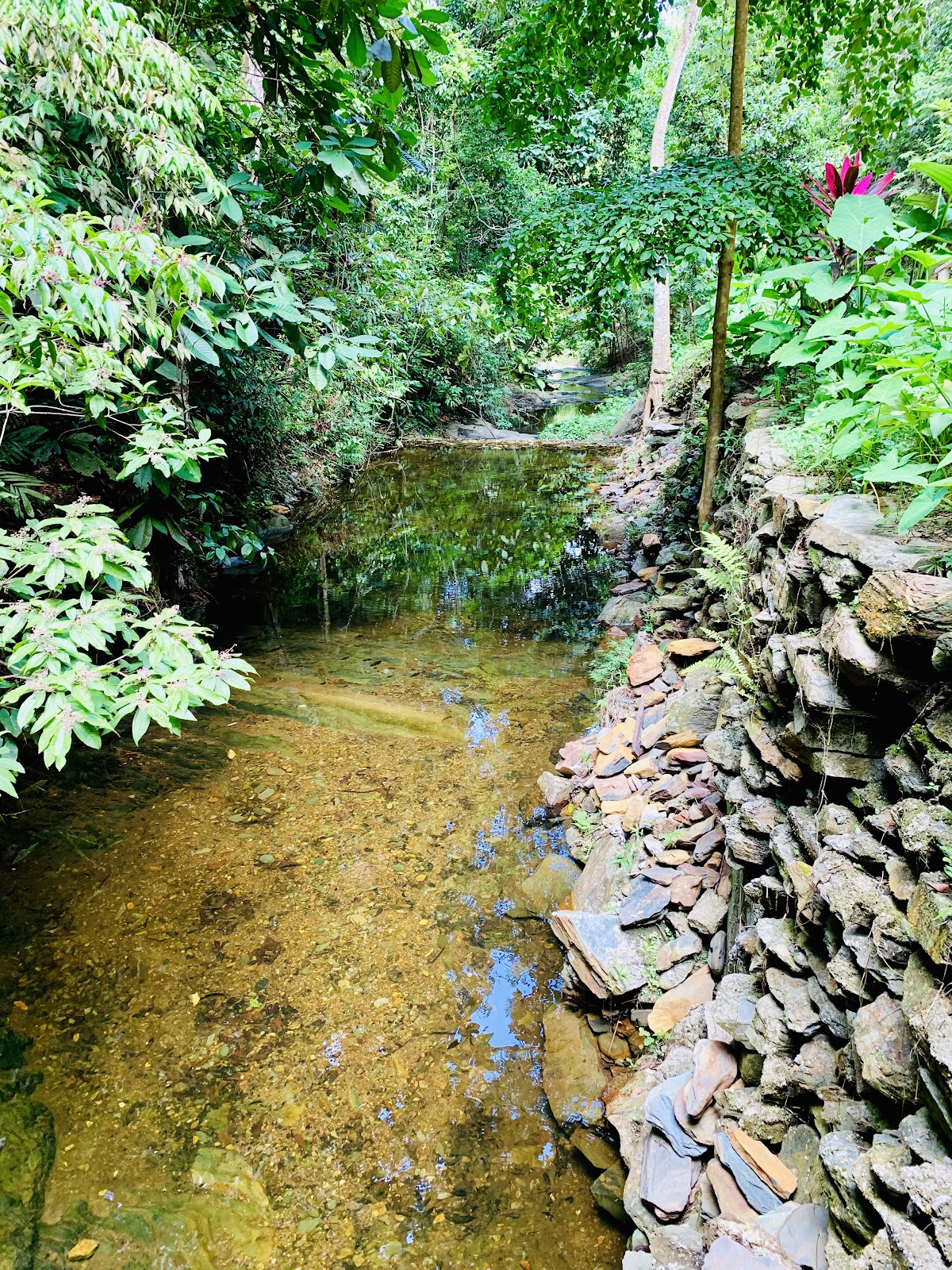 Mayan World Destinations photo 8