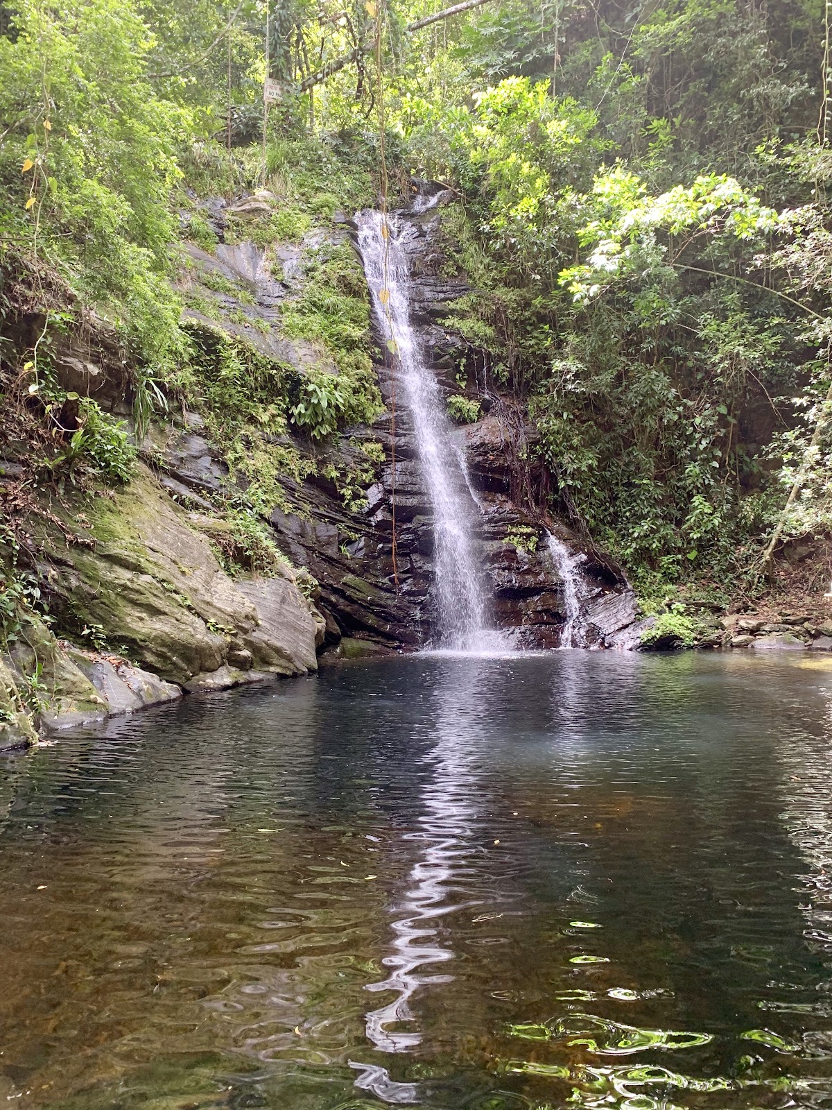 Mayan World Destinations photo 2