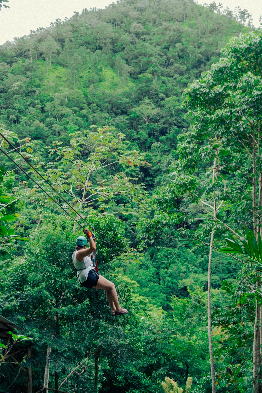 Mayan World Destinations photo 5