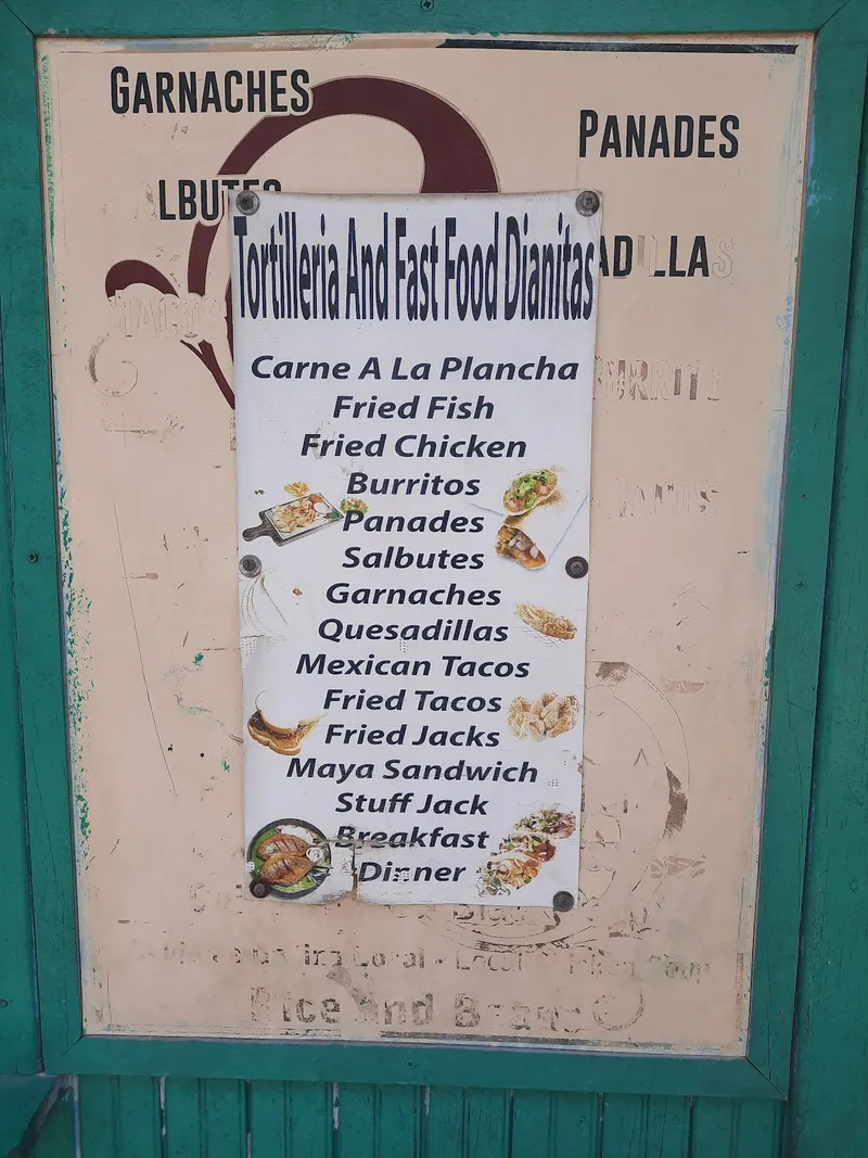 DIANITA TORTILLERIA Y FAST FOOD photo 2