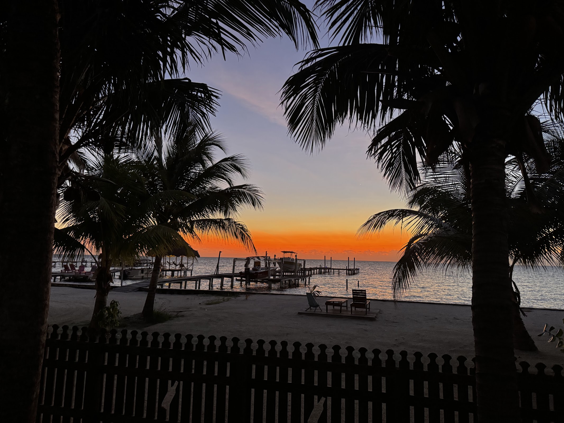 Gumbo Limbo photo 3