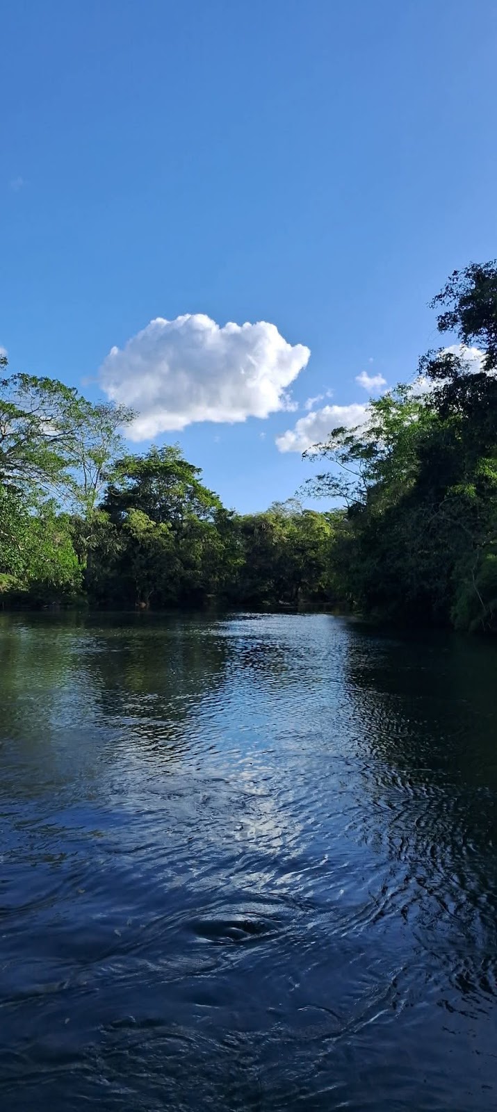 Rio mopan photo 2