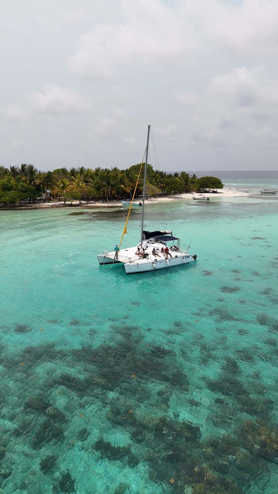 Blue Water Sailing photo 5