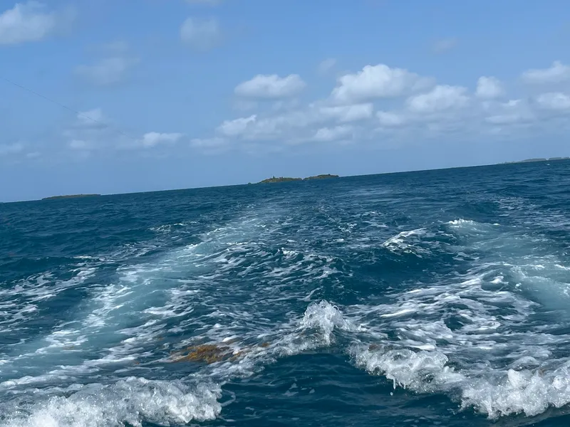 Blue Water Sailing