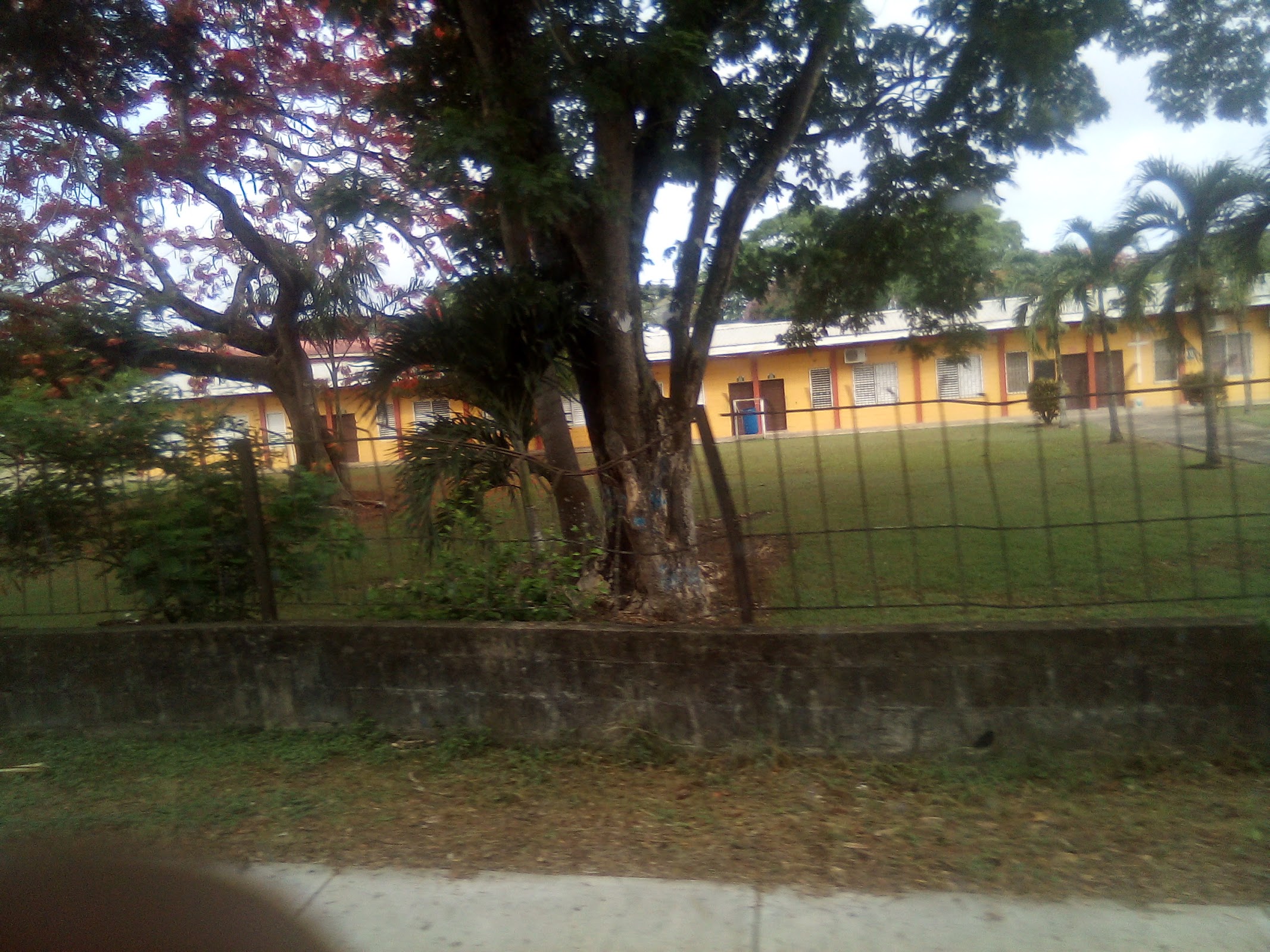 Sacred Heart College photo 2