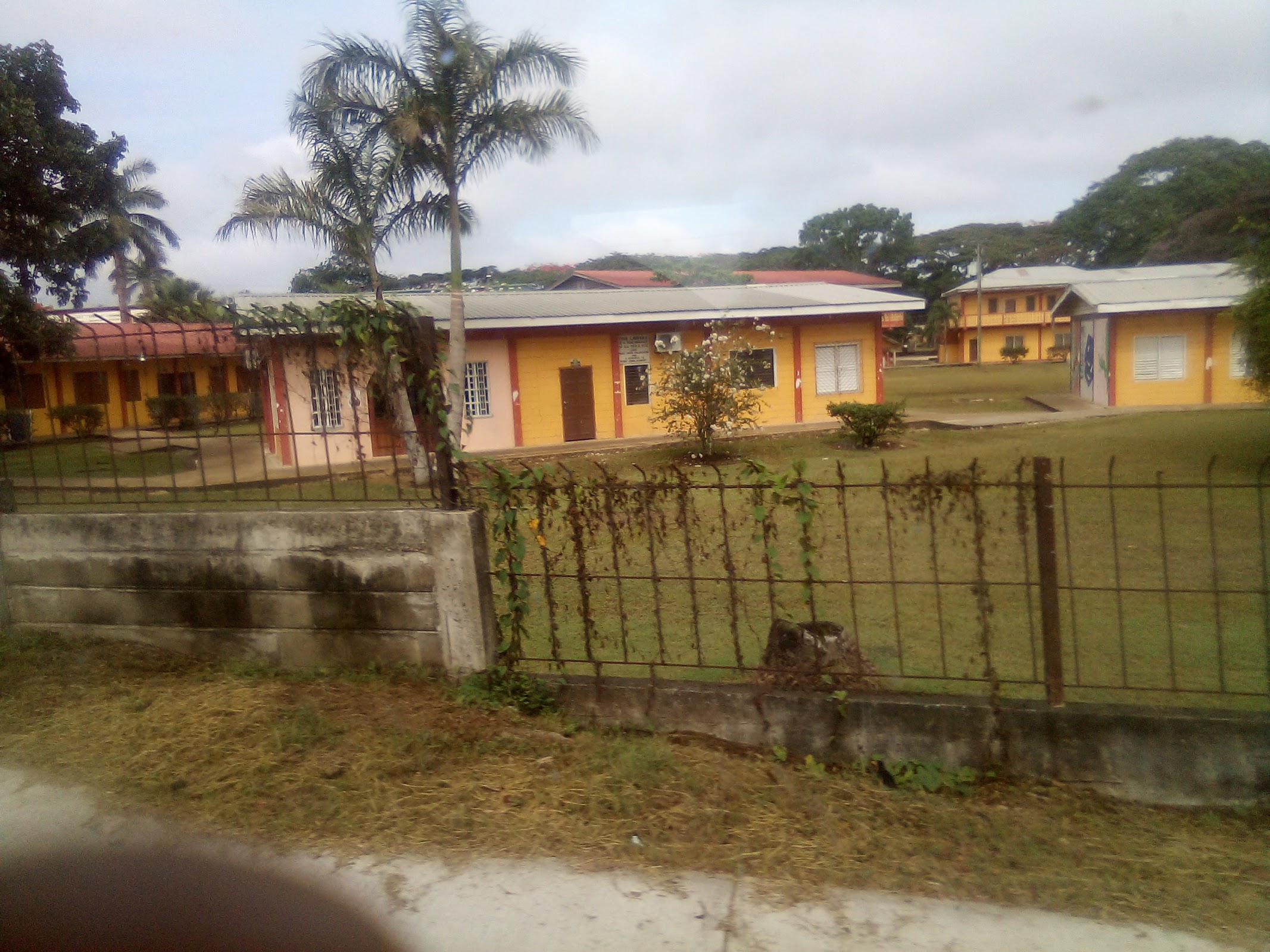 Sacred Heart College photo 6