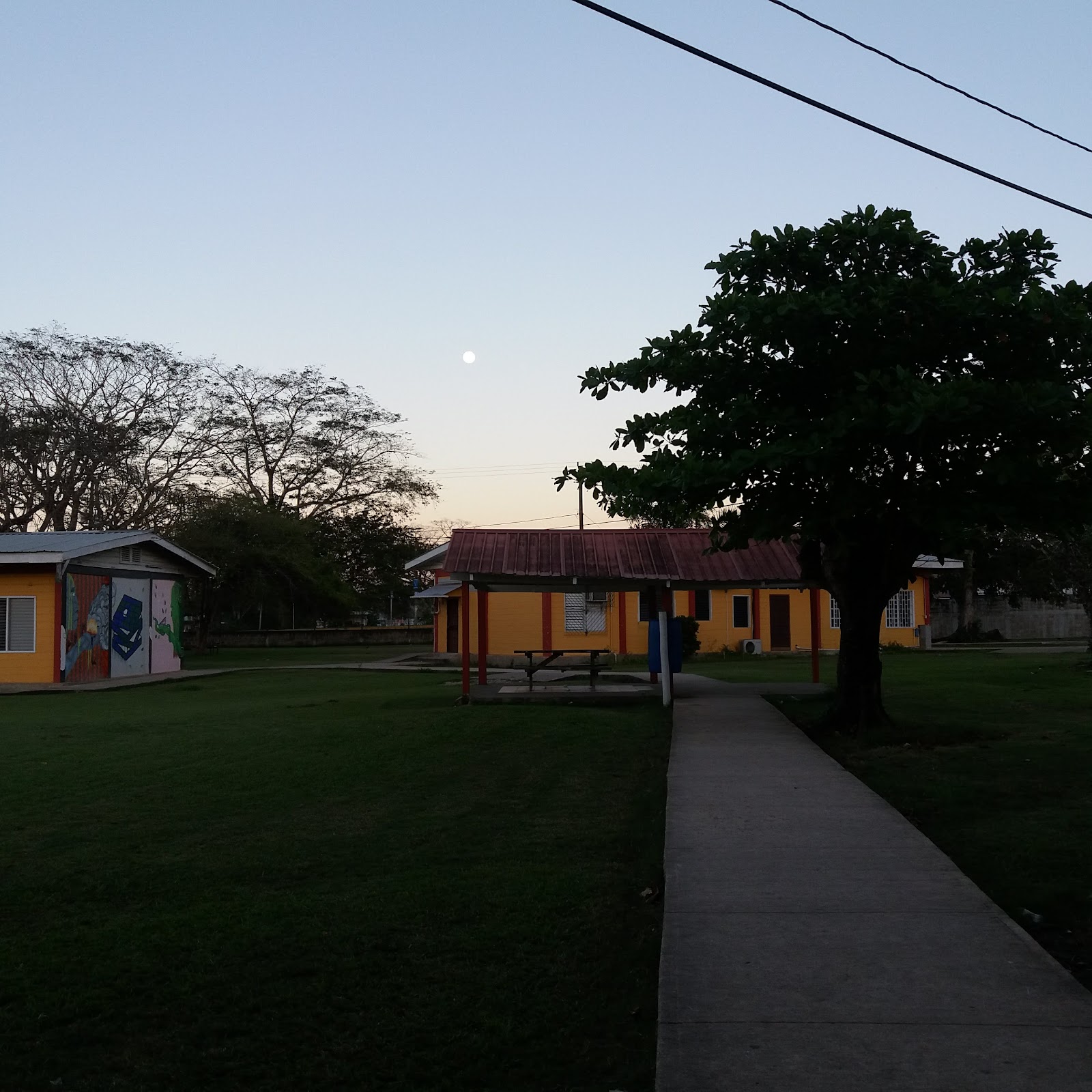Sacred Heart College photo 5