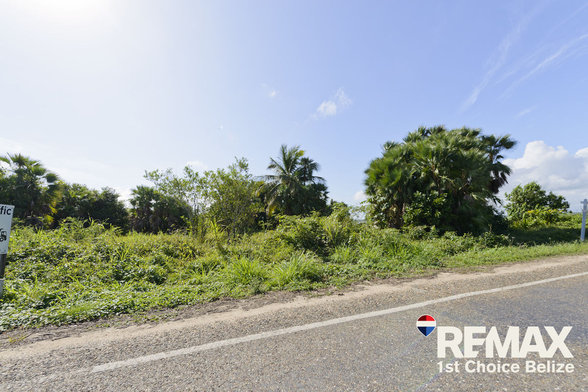 L1017 - 1 Acre Parcel right off Hopkins Road