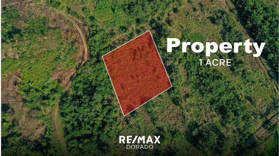 1 Acre Vacant land- Las Lomas Belmopan City Belize