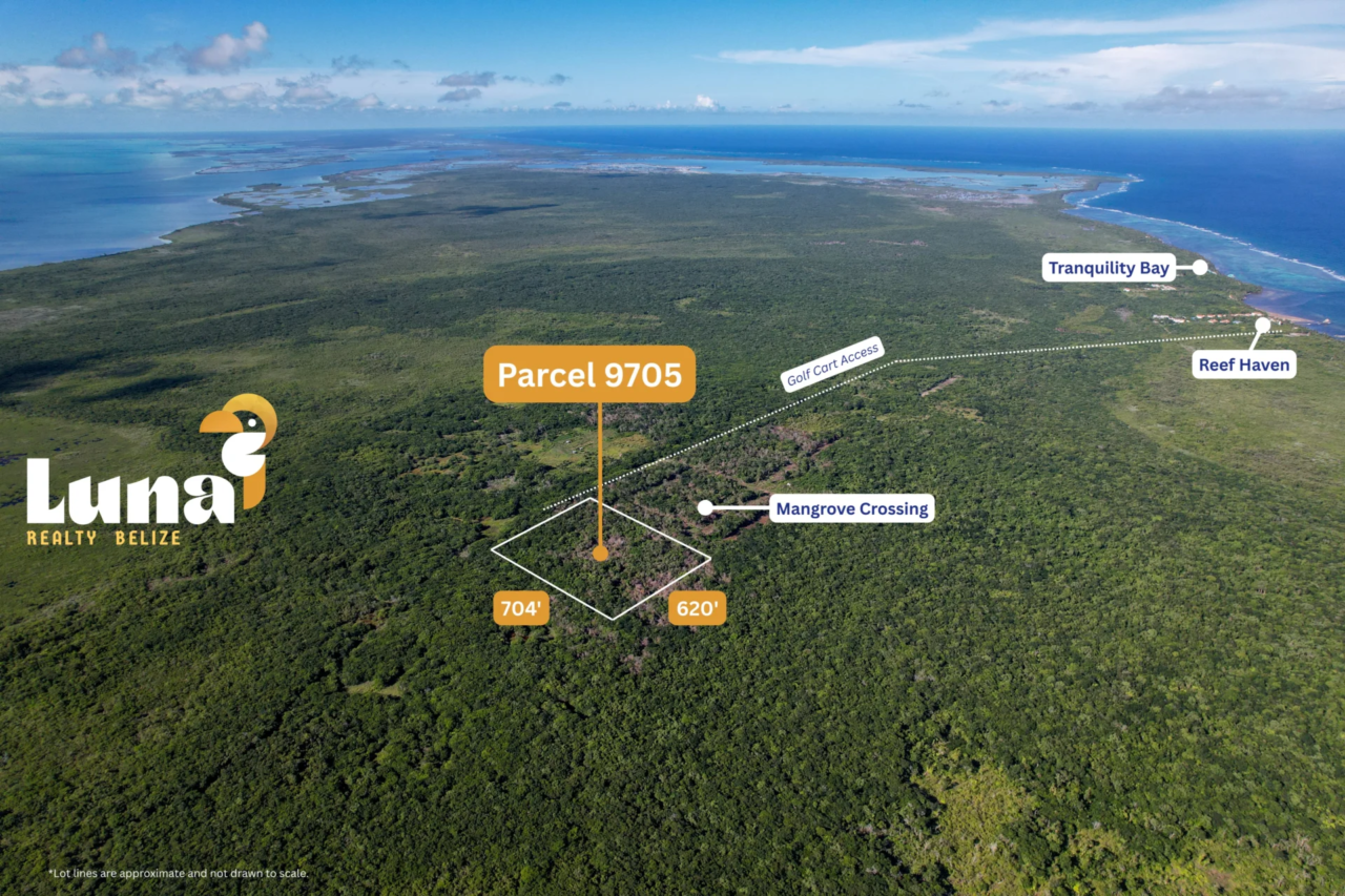 10.02 Acres North Ambergris Caye - Belize Land Parcel with Subdivision Potential – Fertile & Lush – Parcel 9705
