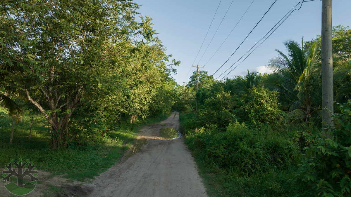 10-acre tract of land in Paslow Falls with River Views