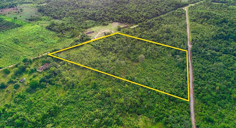 10 Acres along Never Delay Road, Mount Pleasant, Cayo